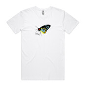 richmond birdwing butterfly