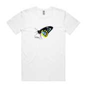 richmond birdwing butterfly